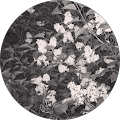user_profile