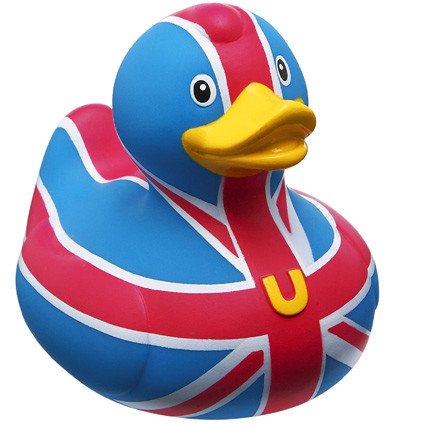 Mittlere Ente Großbritannien