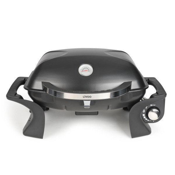 Tragbarer Gas-Grill