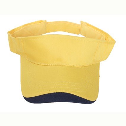 Sunvisor