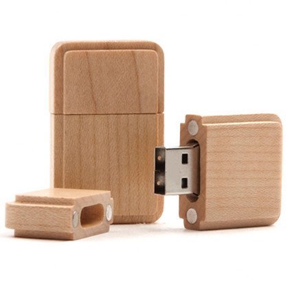 USB Stick im Holzgehäuse