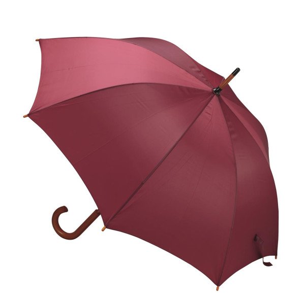 Flash Regenschirm