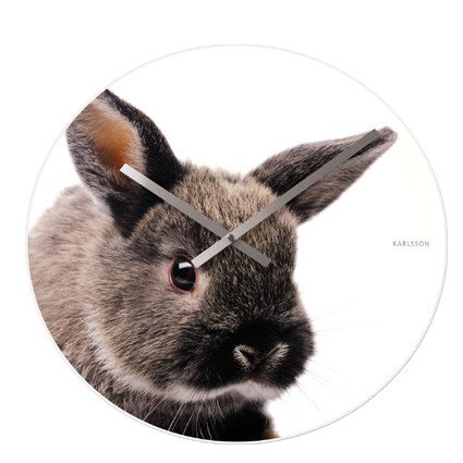 Wanduhr Furry Friends Bunny