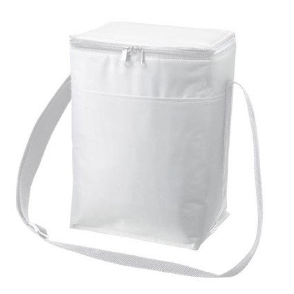 Lunch Bag Ice