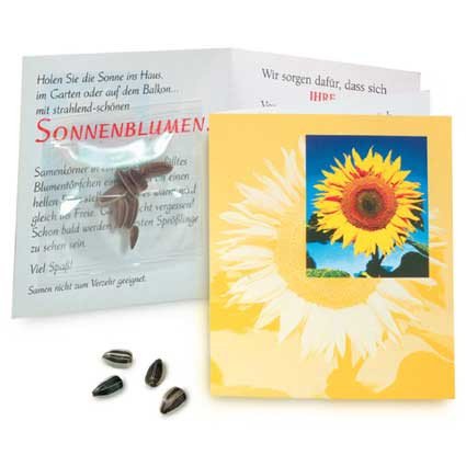 Mailing-Verstärker Sonnenblumenkarte