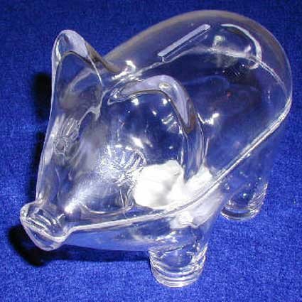 Schwein Transparent